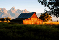 Mormon Row