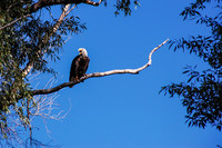 On Watch