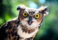 You Looking At Me?